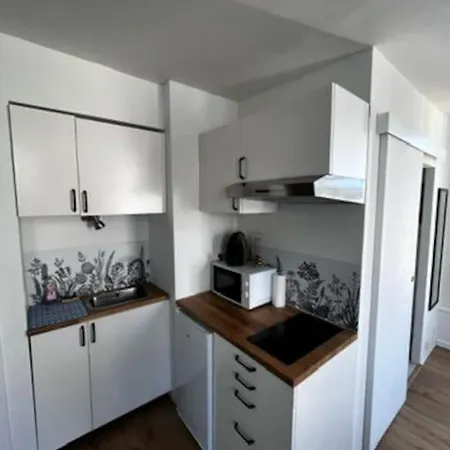 Appartement De Charme Dans Le Historique Du Grand