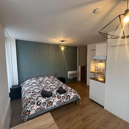 Appartement De Charme Dans Le Historique Du Grand *